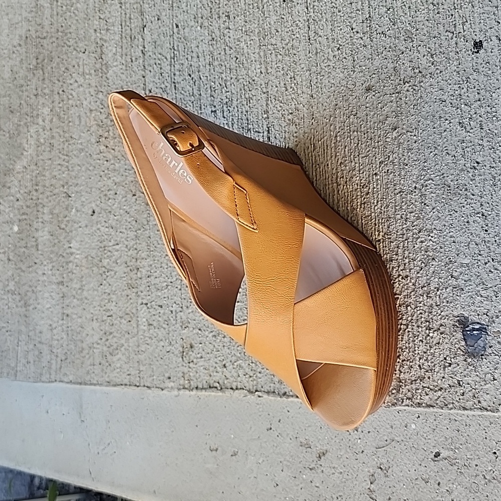 Charles David Beige Platform Wedge Wrap Strappy Sandal Open Toe New in Box